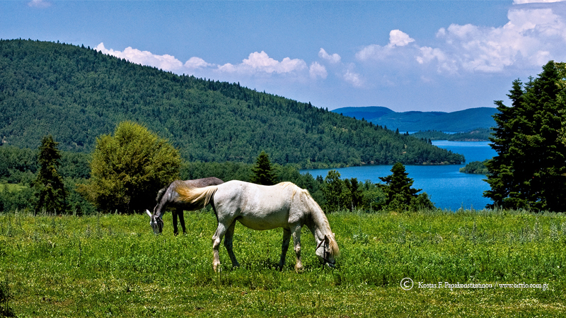 plastira lake - papakonstantinou