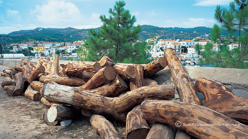 spetses - papakonstantinou