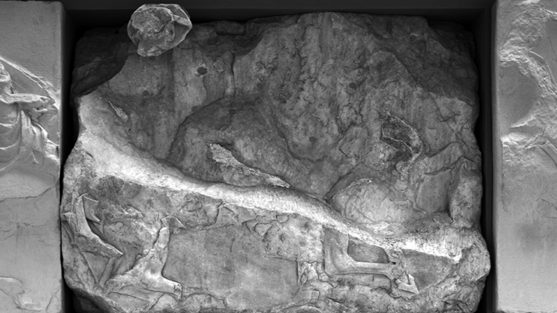 acropolis - papakonstantinou